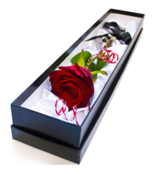 send single red rose in box to cebu in philippines